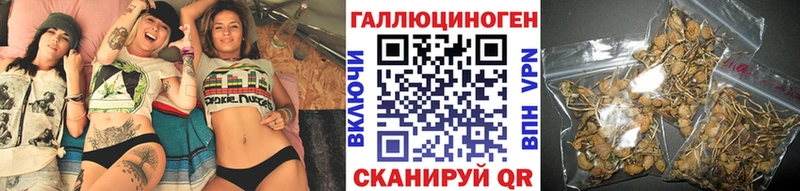 дарк нет официальный сайт  Аткарск  Галлюциногенные грибы GOLDEN TEACHER 